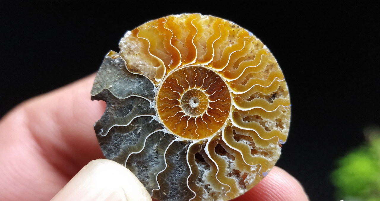 Crystal. Magic Gold. Vibes. Golden. Gems tones. Natural. Jewelry. Crystal go free direct links Healing crystals, Crystal meanings, Types of crystals, Crystal properties, Amethyst, Rose quartz, Clear quartz, Spiritual crystals, Buy crystals, Crystal shop,