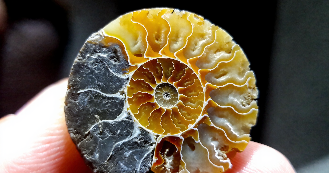 Crystal. Magic Gold. Vibes. Golden. Gems tones. Natural. Jewelry. Crystal go free direct links Healing crystals, Crystal meanings, Types of crystals, Crystal properties, Amethyst, Rose quartz, Clear quartz, Spiritual crystals, Buy crystals, Crystal shop,